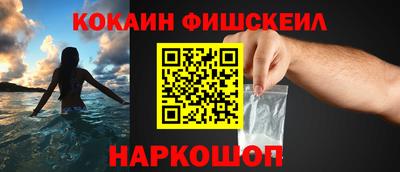 гидра Заводоуковск