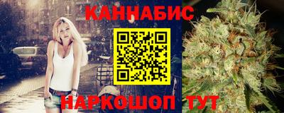 гидра Заводоуковск
