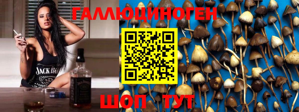 Галлюциногенные грибы Magic Shrooms Нальчик